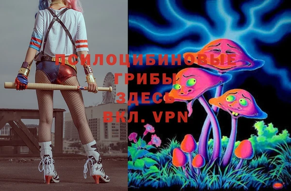 ГАЛЛЮЦИНОГЕННЫЕ ГРИБЫ Горнозаводск