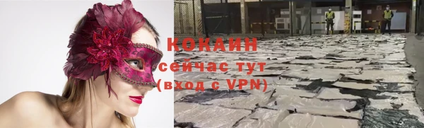 не бодяженный Горно-Алтайск