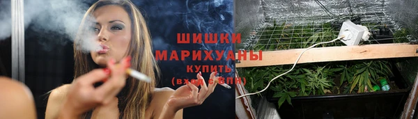 не бодяженный Горно-Алтайск