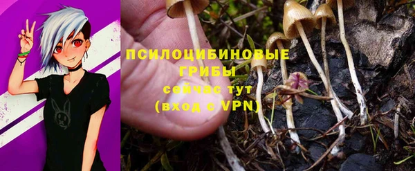 спайс Горняк