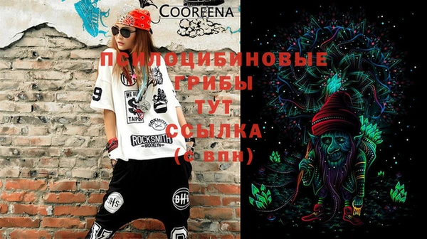 ГАЛЛЮЦИНОГЕННЫЕ ГРИБЫ Горнозаводск