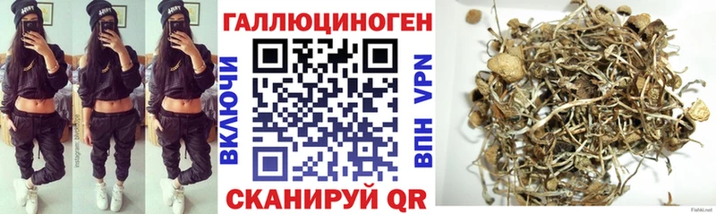 Псилоцибиновые грибы прущие грибы  Купить закладки  Карачаевск 